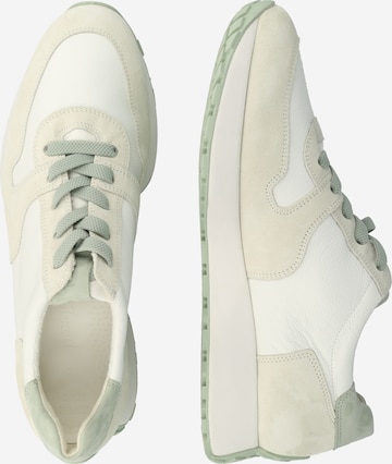 Sneaker bassa di Paul Green in bianco