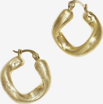 Cala Rose Earrings 'EVIE' in Gold: front