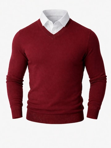 PANTONECLO Pullover 'Pantoneclo Men’s Mock Sweater'‌‌‌‌‌ in Rot: Vorderseite