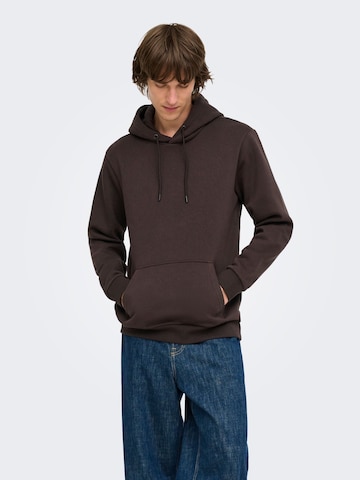 Coupe regular Sweat-shirt 'CERES' Only & Sons en marron : devant