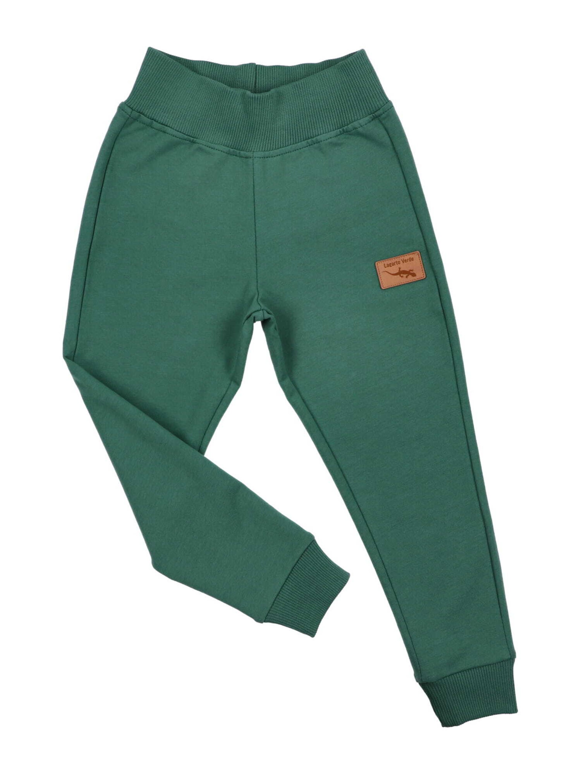 Lagarto Verde Regular Workout Pants in Green