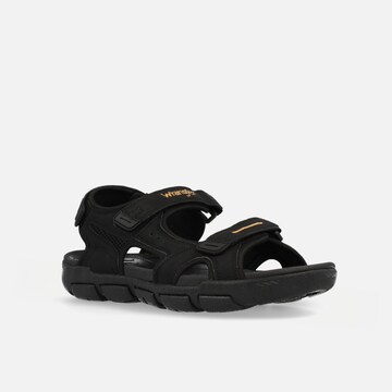 WRANGLER Sandals in Black