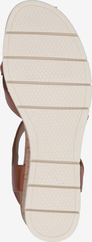 CAPRICE Strap Sandals 'Caprice' in Brown