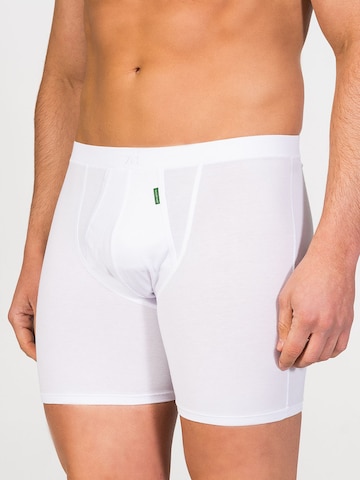 zd ZERO DEFECTS Boxer shorts 'Cyclist Boxer' in White: front