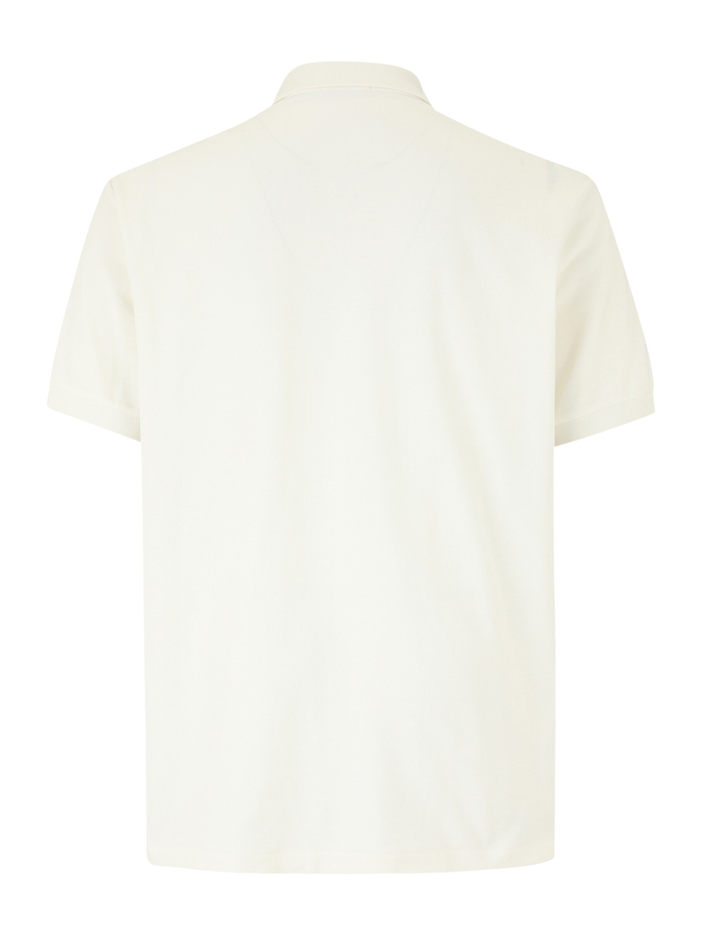 Polo Ralph Lauren Big & Tall T-shirt i beige