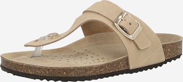 Séparateur d'orteils 'BRIONIA' GEOX en gris : devant