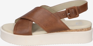 GERRY WEBER Strap Sandals 'Cervo 01' in Brown: front