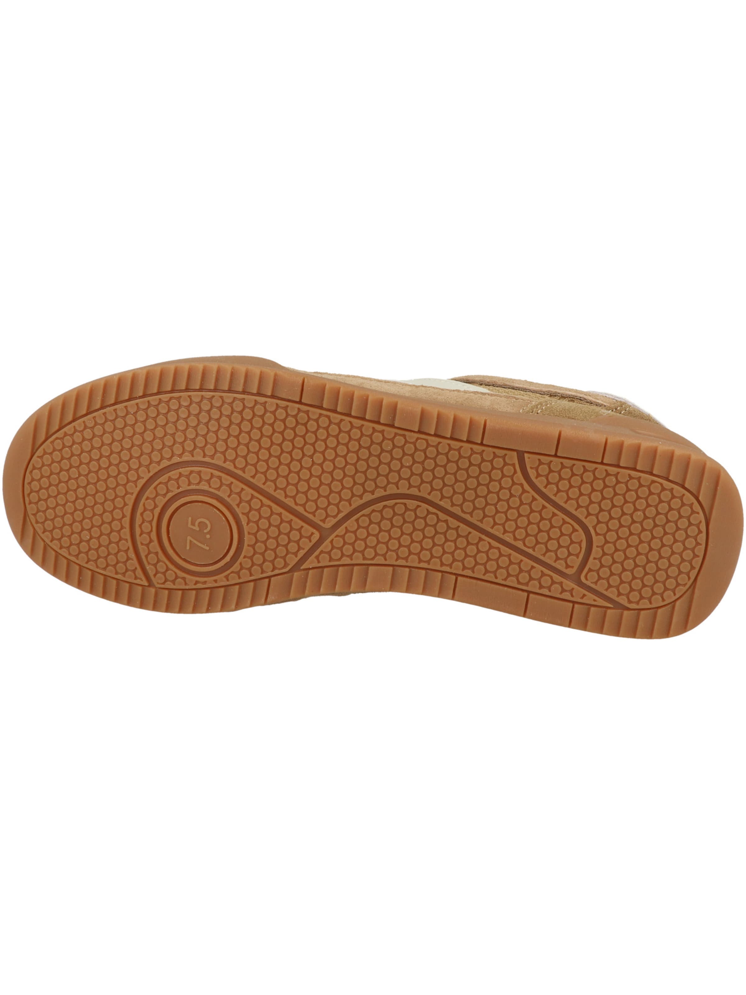 STEVE MADDEN - Sapatilhas baixas ' Verdict ' em castanho