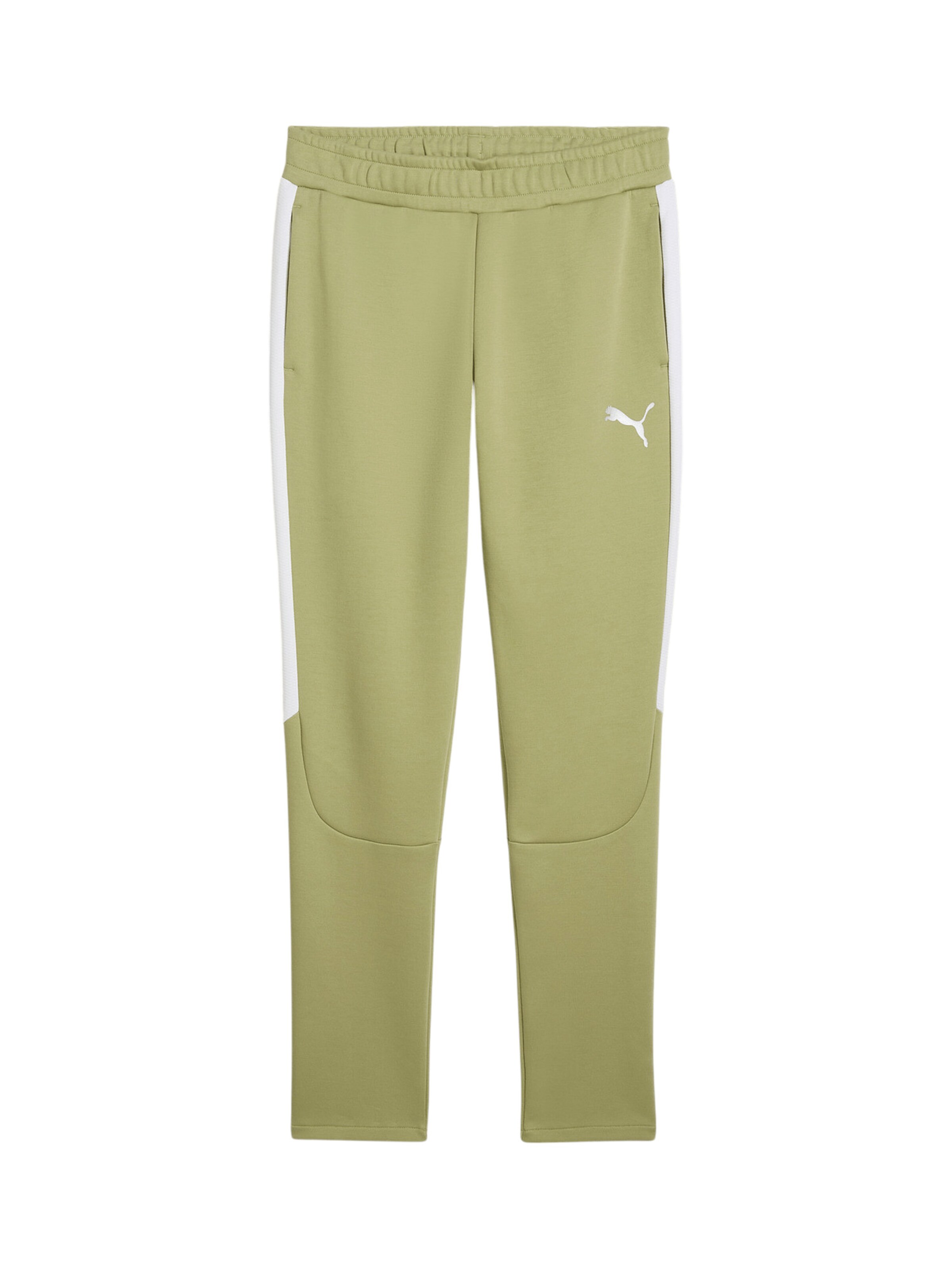 PUMA Workout Pants 'TeamEVOSTRIPE' in Green: front