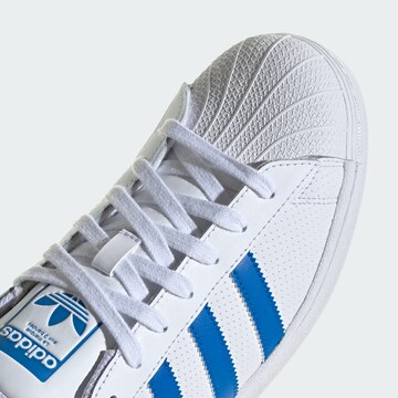 Baskets basses 'Superstar ' ADIDAS ORIGINALS en blanc