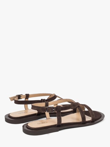 Estro - Sandalias con hebilla '11-10-8' en marrón