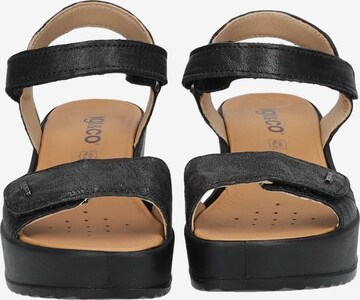 IGI&CO Sandals in Black