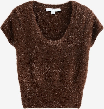 Pulover de la Next pe maro: față