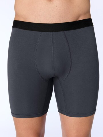 Albero Natur Long Johns 'Bio-Baumwoll-Herren Long Trunks' in Grey: front