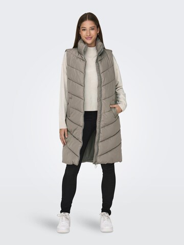 Gilet 'Finno' JDY en gris