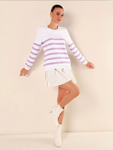 Bigdart Trui in Lila