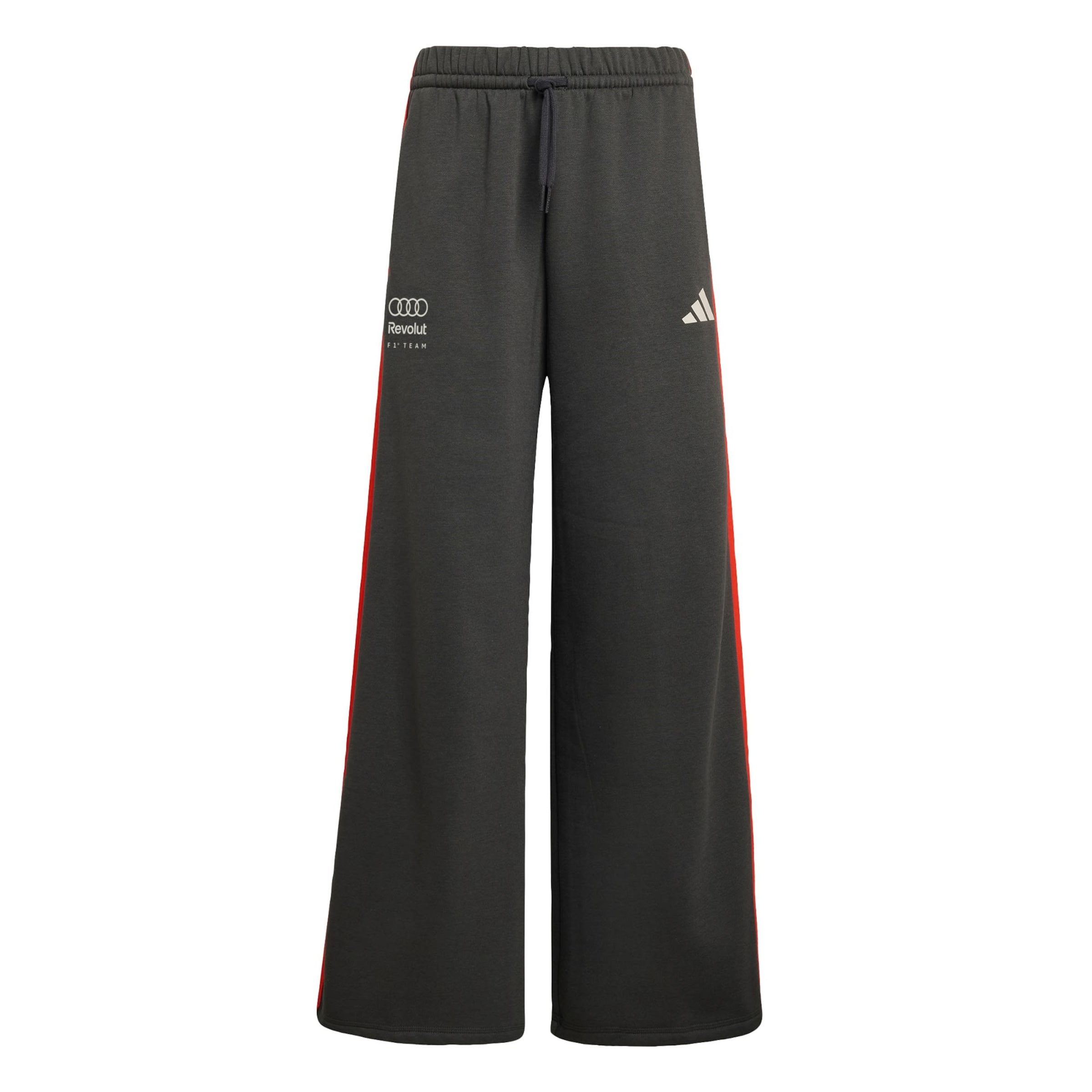 ADIDAS PERFORMANCE Pantalon de sport 'Audi Formula One Team DNA' en gris foncé / homard / blanc, Vue avec produit