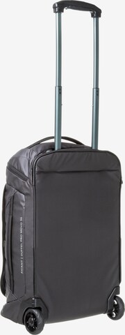 DEUTER Cart 'Aviant' in Black