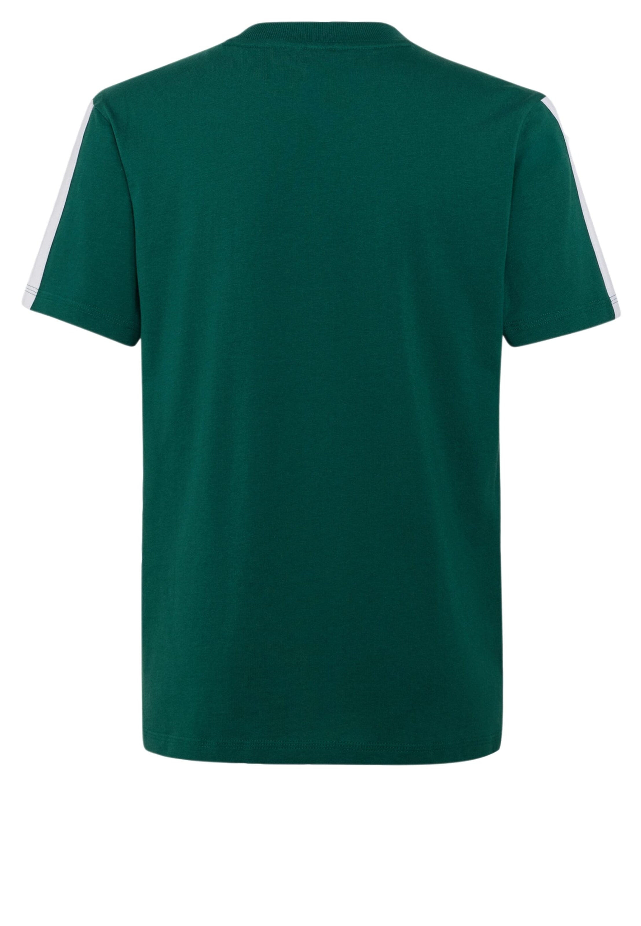 ADIDAS SPORTSWEAR Functioneel shirt 'Essentials' in Groen
