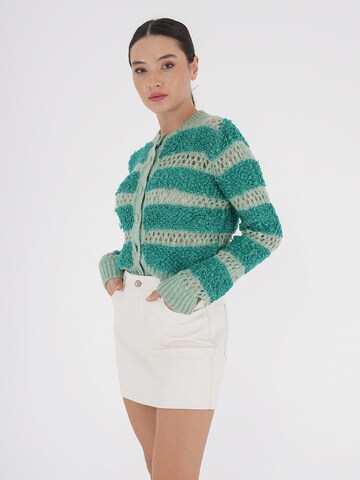 Cardigan 'VALE' FRESHLIONS en vert