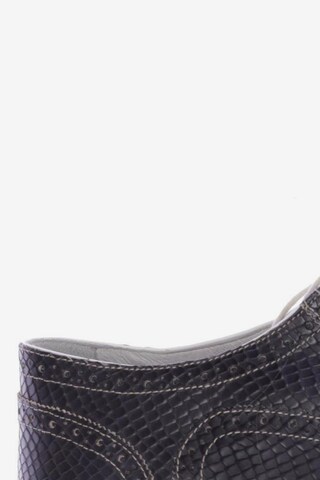 Floris van Bommel Flats & Loafers in 43,5 in Black