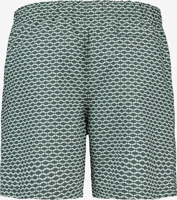 Shiwi Kratke kopalne hlače 'Hammam' | zelena barva