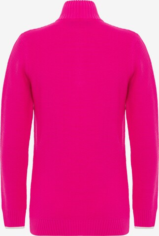 DENIM CULTURE Sweater 'DINA' in Pink