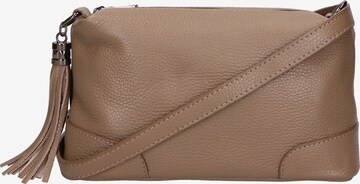 Gave Lux Handbag in Beige: front