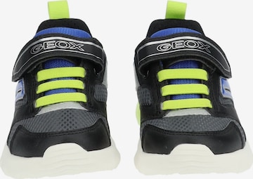 GEOX Sneakers in Gemengde kleuren