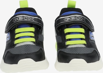 GEOX Sneaker in Mischfarben