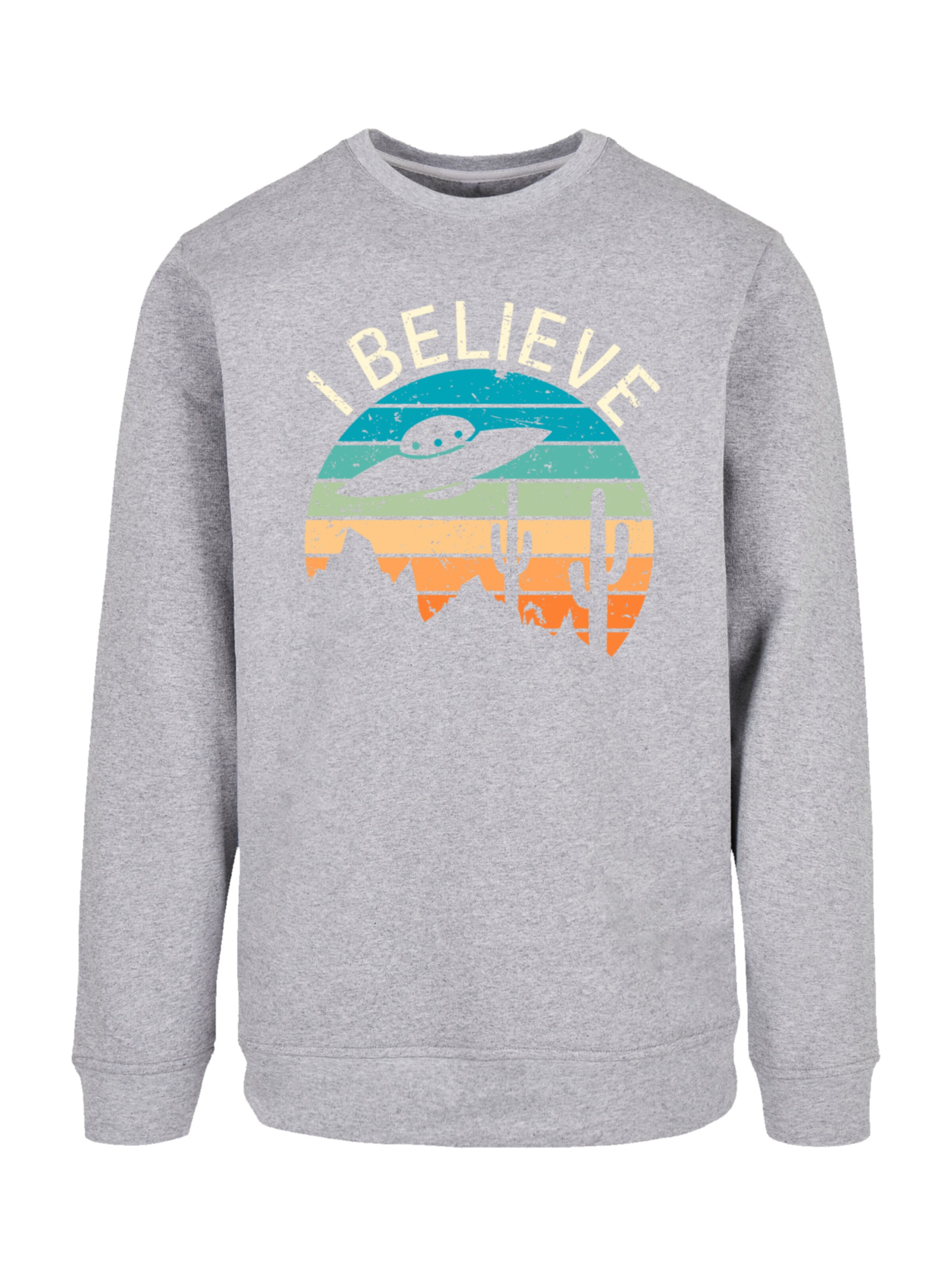 Sweat-shirt 'I Believe UFO Alien Sonnenuntergang' F4NT4STIC en gris : devant