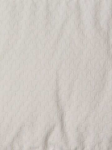Schott NYC Winter Coat in Grey