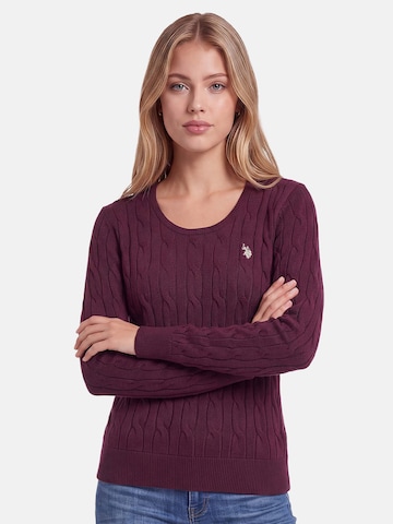 U.S. POLO ASSN. Sweater in Purple