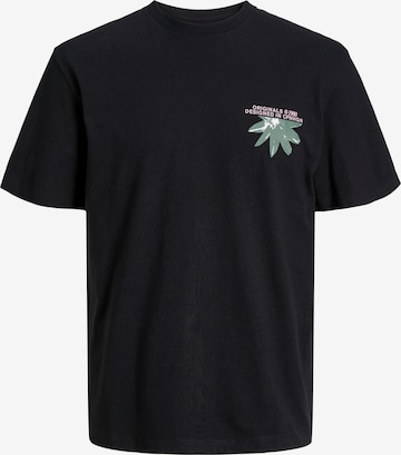 JACK & JONES Bluser & t-shirts 'TAMPA' i sort: forside