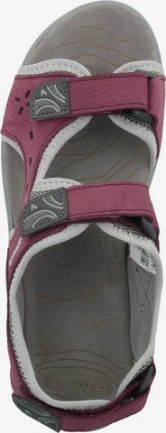 LOWA Hiking Sandals in Purple