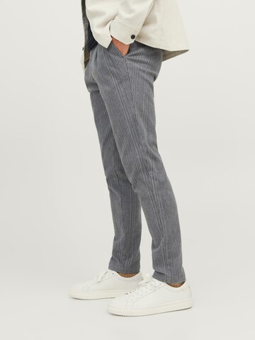 JACK & JONES Tapered Bandplooibroek 'Ace Harvey' in Grijs