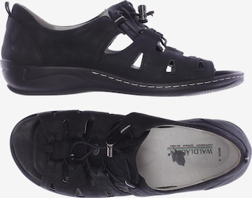 WALDLÄUFER Sandals & High-Heeled Sandals in 37 in Black: front