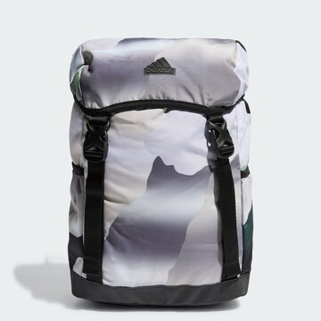 ADIDAS PERFORMANCE Rucksack 'Xplorer' in Grau