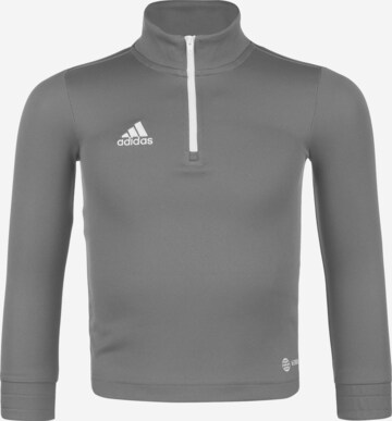 ADIDAS PERFORMANCE Athletic Sweatshirt 'Entrada 22'' in Grey: front
