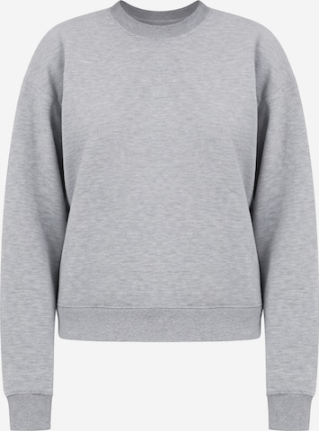 Sweat-shirt BRAVE SOUL en gris : devant