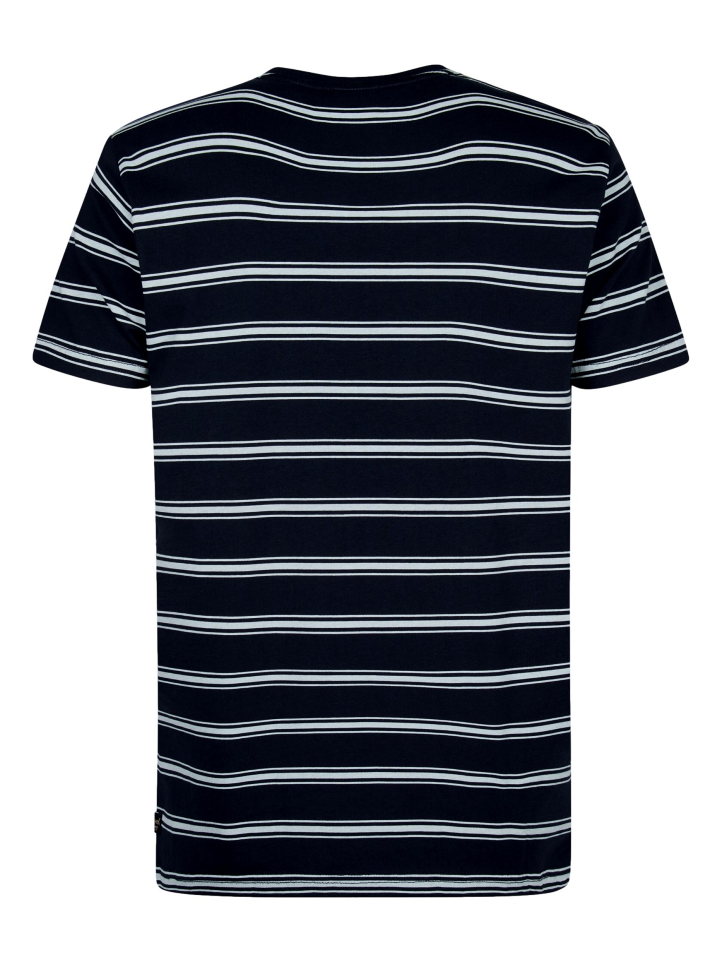 Petrol Industries Shirt in Blauw