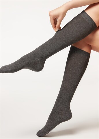 CALZEDONIA Knee High Socks in Grey: front