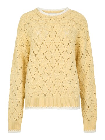 Apricot Trui ' ' in Geel