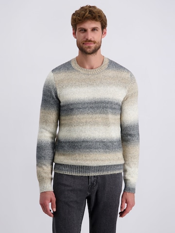 PIERRE CARDIN Sweater in Grey: front