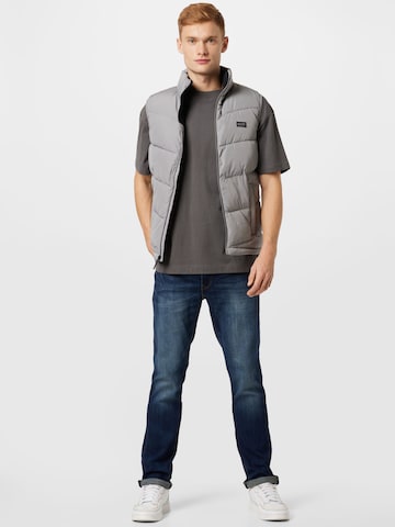 HOLLISTER - Chaleco en gris