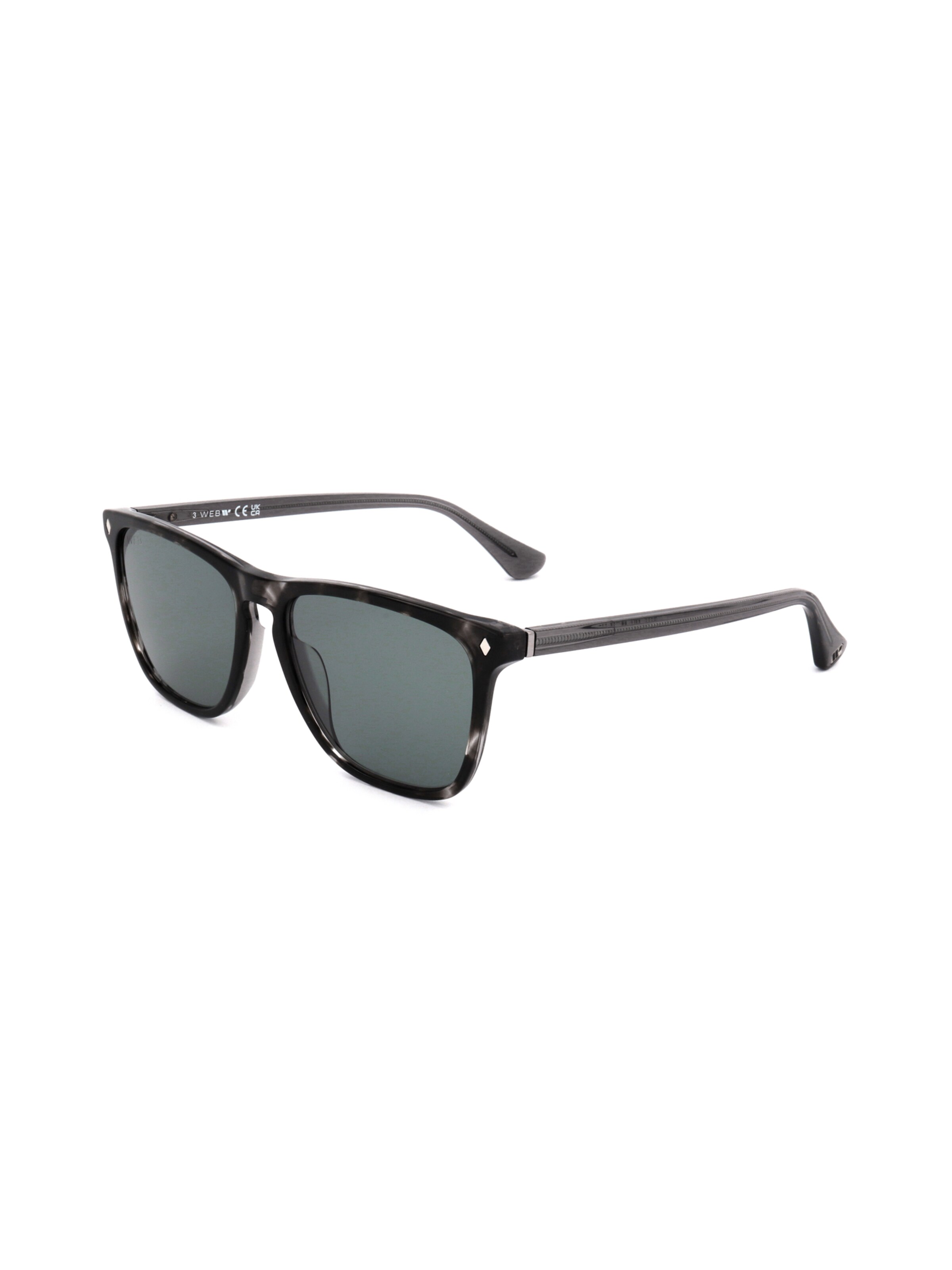 Occhiali da sole 'WE0363' di Web Eyewear in grigio: frontale