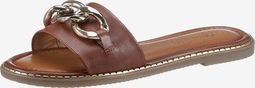 s.Oliver Mules in Brown: front