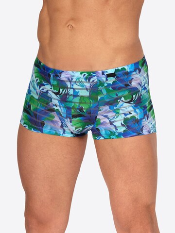 Boxers ' RED2559 Minipants ' Olaf Benz en bleu : devant