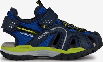 GEOX Sandals & Slippers 'Borealis' in Blue