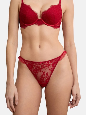 String 'Infini' di ETAM in rosso: frontale